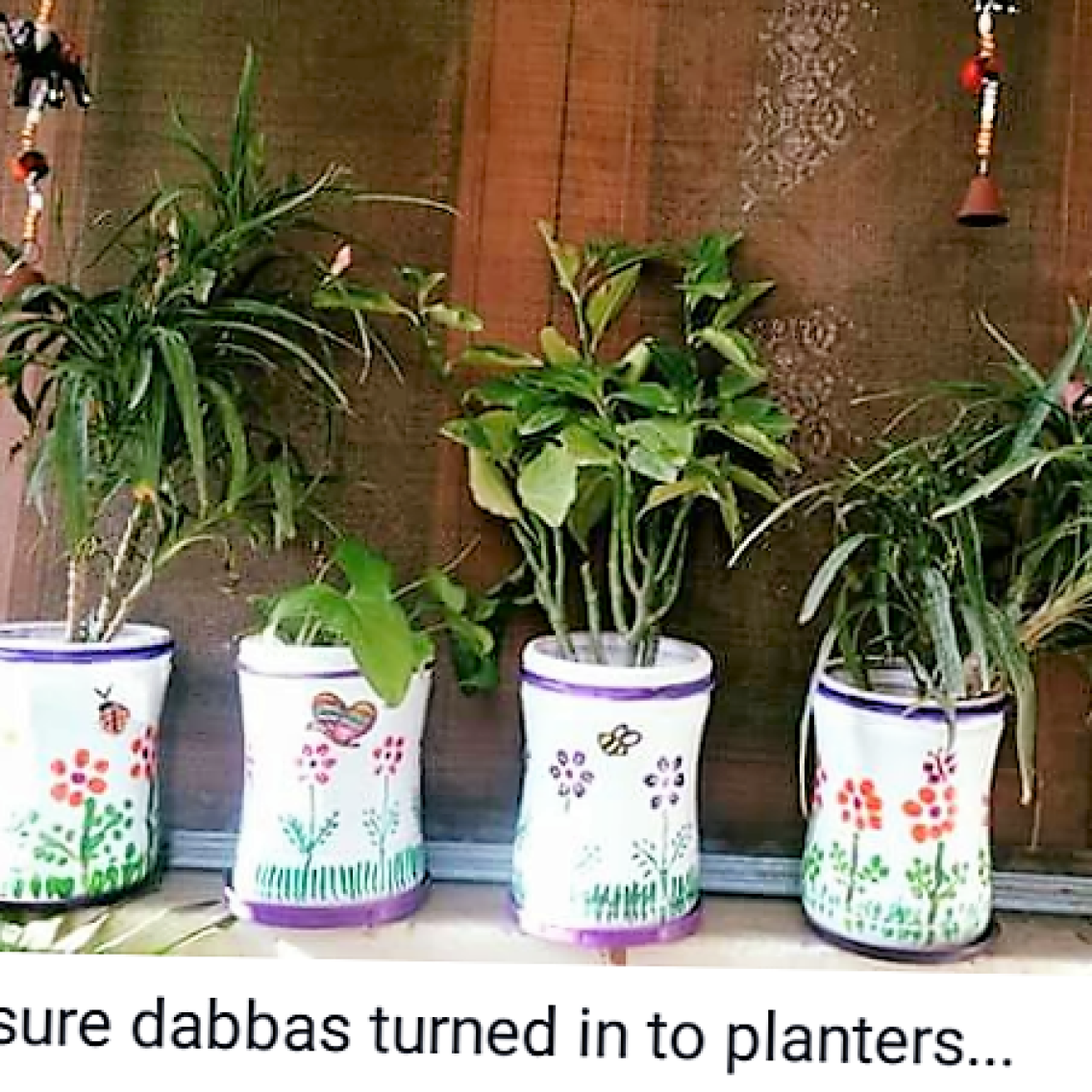 recycle pot plants